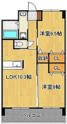 エヴァーグリーンＮ