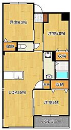 ＣＩＴＲＵＳ ＴＲＥＥ