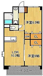 エヴァーグリーンＮ