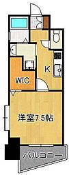 アクシオ片野