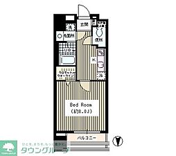 サンゼウス亀戸 1003