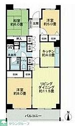 テレパレス船橋三咲Ａ棟 0503