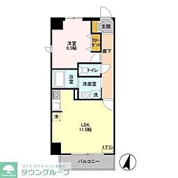 ドゥ　セードル 501