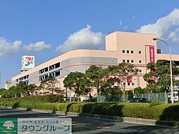 幕張ベイパーク　ミッドスクエアタワー 1501