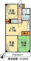 シティパル瑞江 303