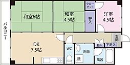 グランドメゾン桜馬場 204