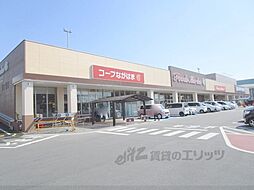 ビレッジハウス加田2号棟 202