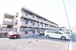 エーデルワイス