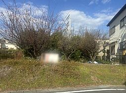豊川市中条町大道　売地