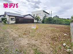 新城市字向野 売地