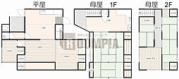 しあわせの黄色いチューリップ