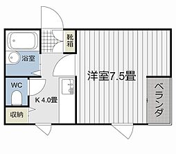 タートル楓 0101