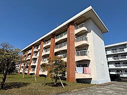 原良団地ハイツ1号棟 304
