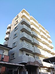 ラフィネT．M．I 503