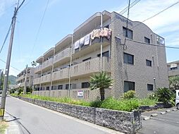 ファームガーデンD棟 0101