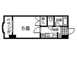 ヨーロピア高麗 0805