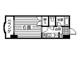 ヨーロピア高麗 0605