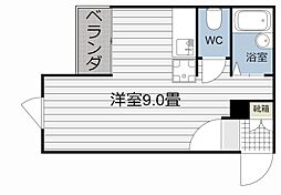 タートル楓 0104