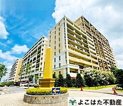 レイディアントシティ向ヶ丘遊園フランス街区