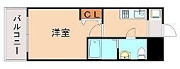 ヒッポエイト