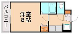 ベルガ菅原