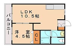 カレッジライフイシモト