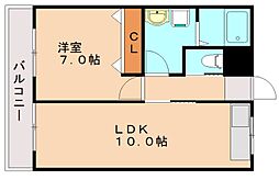 グレースコート