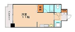ベルガ菅原