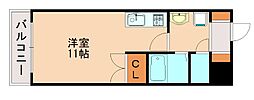 オークランドアサート折尾