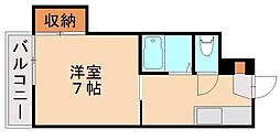 シャトレ紅梅