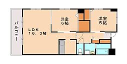 ウィズピュアあのお 501