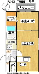 RING TREE(リングツリー)