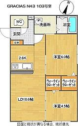 GRACIAS N43(グラシアスN43)