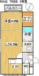 RING TREE(リングツリー)