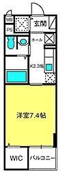 グレースコート
