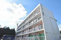 スイーティー葉山