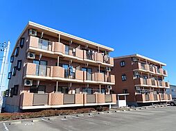 エバーグリーン B101