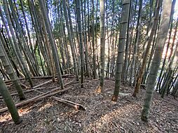 山武郡横芝光町小田部　土地