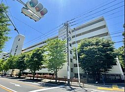 東急ドエル宮崎台バーズビレジA棟 206