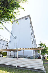 UR江南