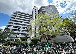 シャトレ明大前