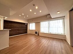 クリーンリバー円山北五条 1201