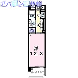 プラシード