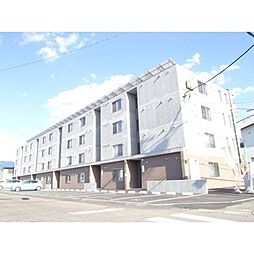 セントポーリアシェリル 202