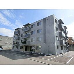 バーニーズ メルシー 407