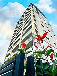 ヴェレーナ大宮大成　角住戸