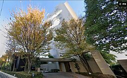 グリーンフォレストストーリーズ