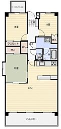 コンフォート銀座
