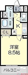 カメリア　Y 105