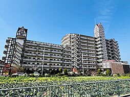 ブリティッシュ・ティンバー泉佐野